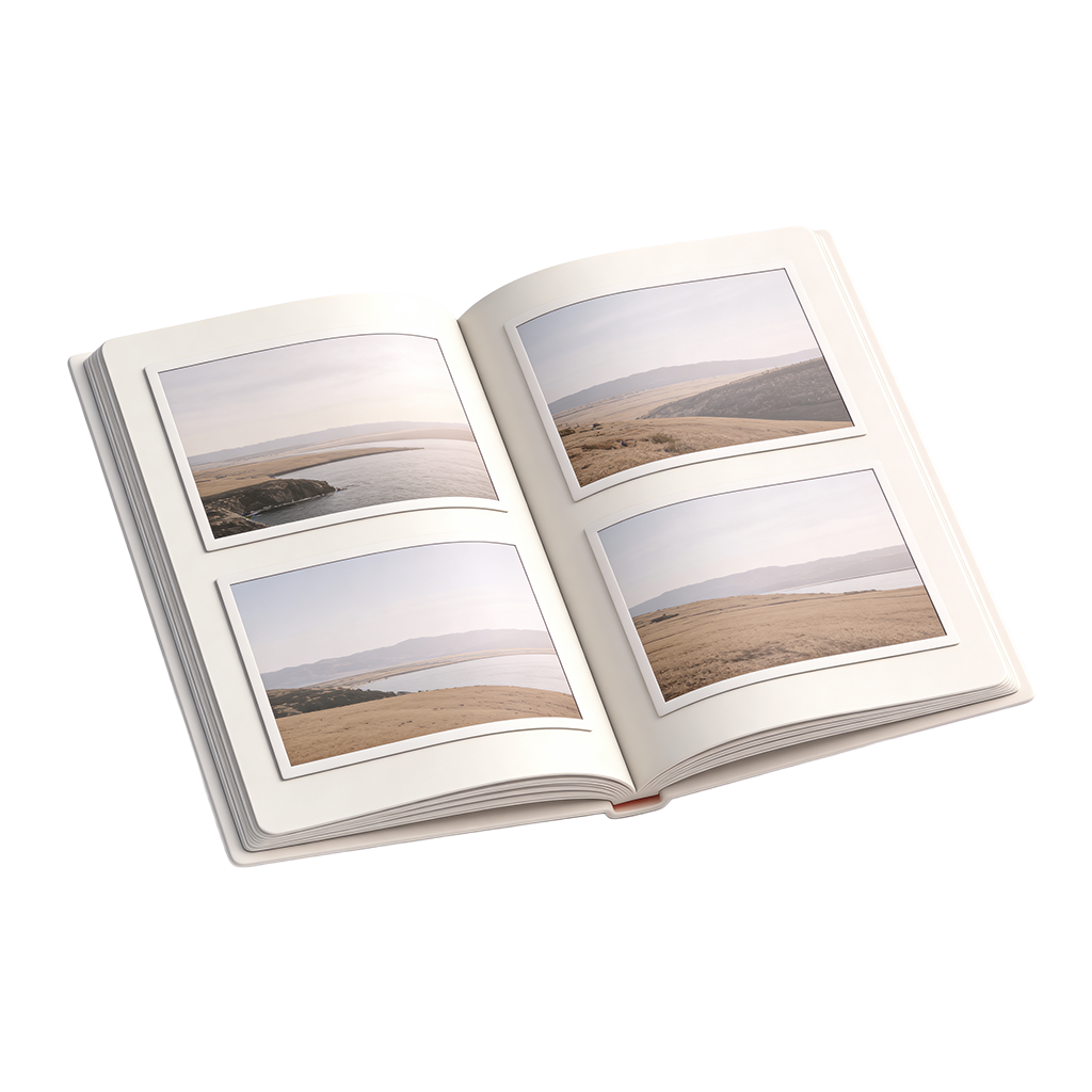 Organize your photos